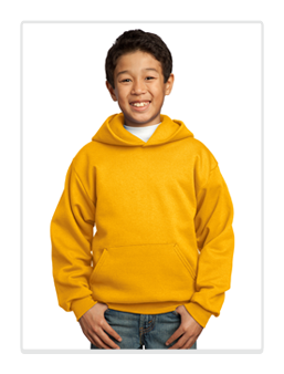 Youth Hoodie
