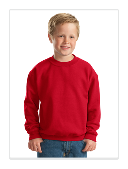 Youth Crewneck Sweatshirt
